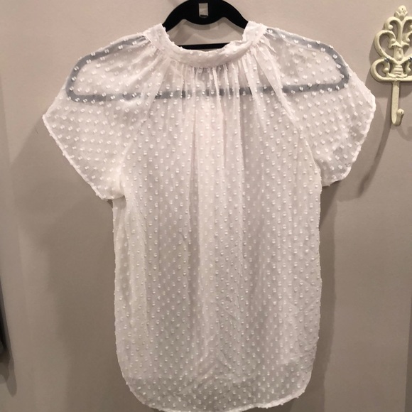 Ann Taylor Loft Sheer Blouse - Picture 3 of 4